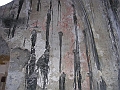 S. Anna de Aquis Vivis (24)